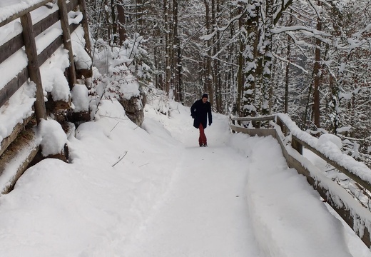 IMG 20170115 140209539